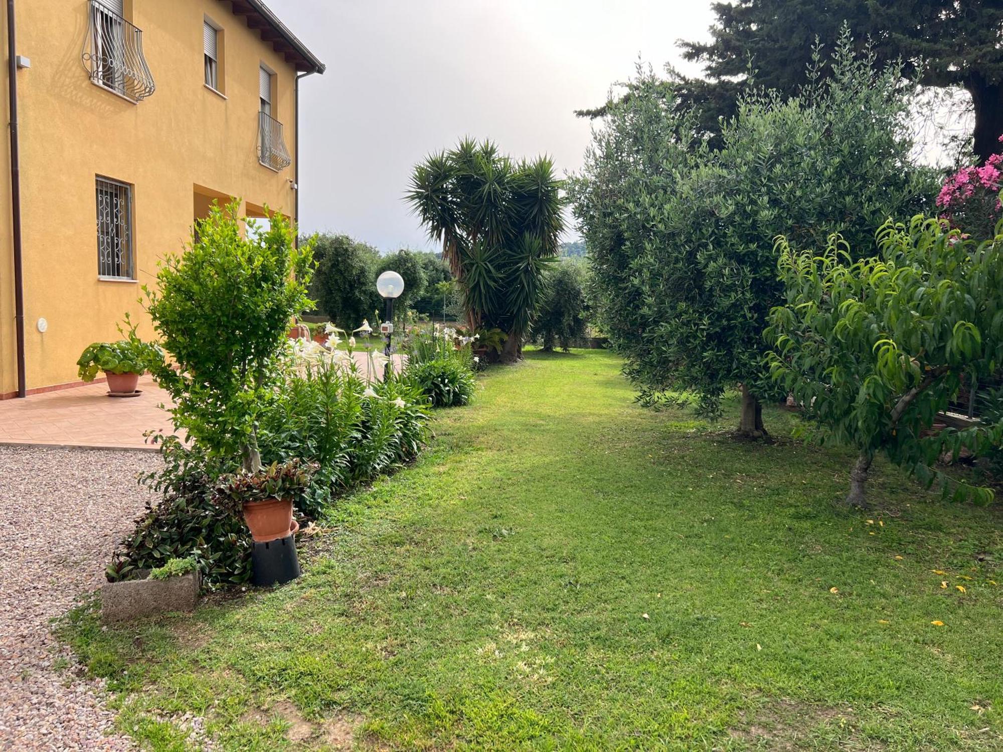 Agriturismo Il Giardino Degli Olivi Appartamenti Castiglione della Pescaia Luaran gambar